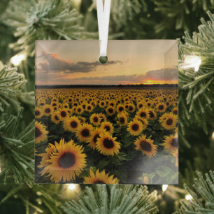 Adorno De Cristal Flores Campo de girasol