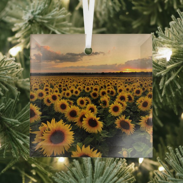 Adorno De Cristal Flores | Campo de girasol (in situ)