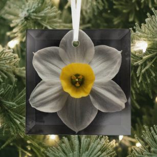 Adorno De Cristal Flores   Flor de Daffodil blanca