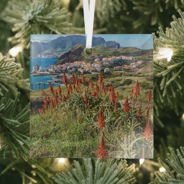 Adorno De Cristal Flores | Isla Madeira Portugal (in situ)