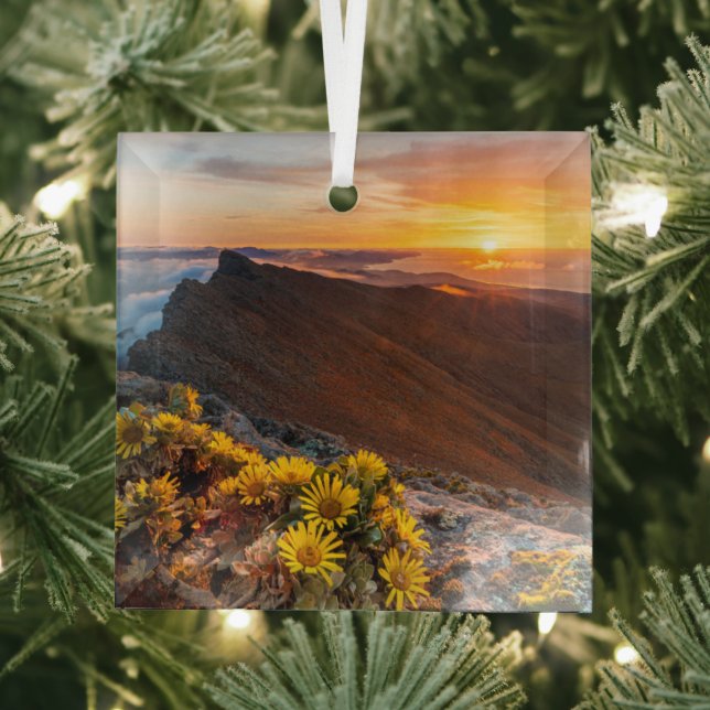 Adorno De Cristal Flores | Islas Canarias, España (in situ)
