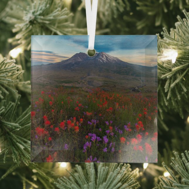 Adorno De Cristal Flores | Pincel indio y penstemon (in situ)