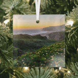 Adorno De Cristal Flores Santa Cruz California