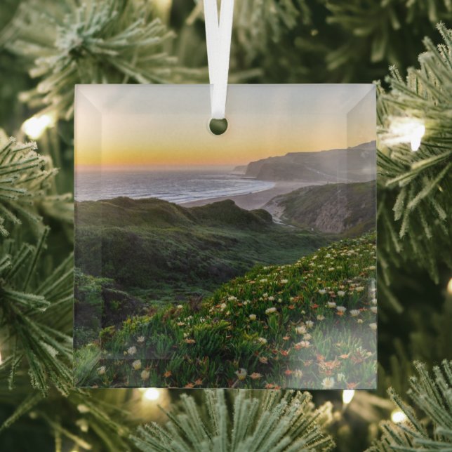 Adorno De Cristal Flores | Santa Cruz California (in situ)