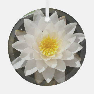 Adorno De Cristal Flotante White Waterlily Lotus