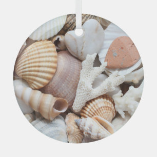 Adorno De Cristal Fondo de coral de conchas marinas con piedras