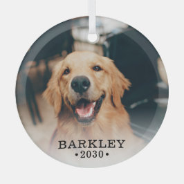 Adorno De Cristal Foto de perro