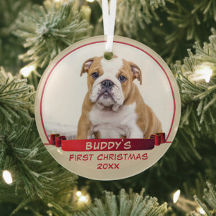 Adorno De Cristal Foto de perro de Cinta Roja de los Navidades del b