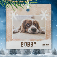 Foto de Perro Nombre de Mascota Copo de Nieve Acua