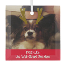 Foto de su Mascota Mascota de renos con nubes húme