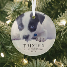 Foto del primer Navidad de perro minimalista moder