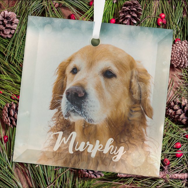 Adorno De Cristal Foto Mascota moderna Personalizada Whimsical Dog L (Subido por el creador)