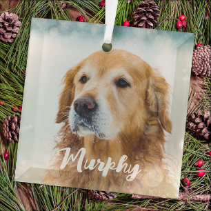 Adorno De Cristal Foto Moderna Personalizada de Mascotas Divertida p