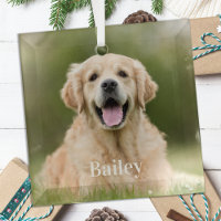 Foto Personalizada de Mascota Moderna Simple Amant