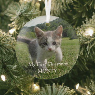 Adorno De Cristal Gato de fotos de gatitos personalizados primera Na