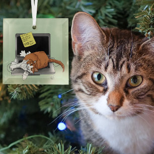 Adorno De Cristal Gato Naranja Divertido Portátil Verde Trabajo Casa