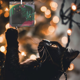 Adorno De Cristal Gato negro místico Dragón verde esmeralda Fantasía