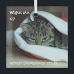 Adorno De Cristal Gato somnoliento en Santa Hat<br><div class="desc">Cansado,  gruñón gatito,  está harto de los alborotos y ruidosos festejos y quiere dormir a lo largo de todo.</div>