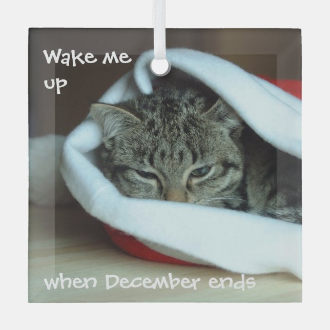 Adorno De Cristal Gato somnoliento en Santa Hat (Anverso)