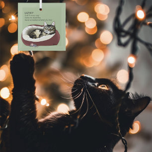 Adorno De Cristal Gato Tabby Perezoso Sarcástico Humor Verde Salvia