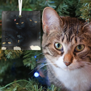 Adorno De Cristal Gatos Negros Montón de Cariño Felinos Lindos
