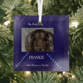 Adorno De Cristal God's Pawprint Keepsake