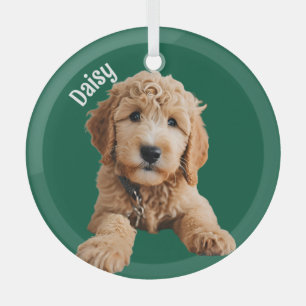 Adorno De Cristal Golden Doodle Puppy
