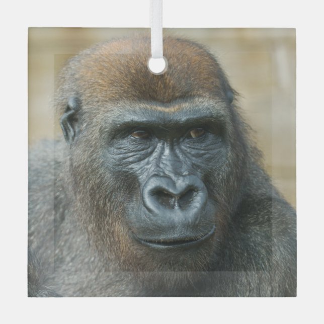 Adorno De Cristal Gorilas Brothers - GoBros (Anverso)