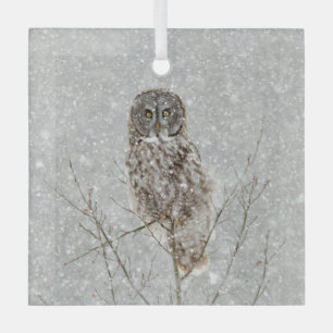Adorno De Cristal Gran búho gris en invierno