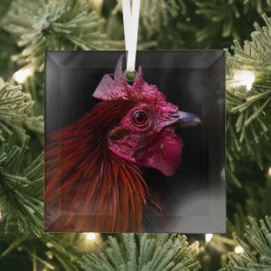 Adorno De Cristal Granjas Disparo de cabeza de gallo