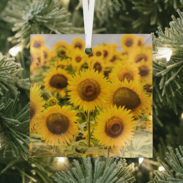 Adorno De Cristal Granjas | Un Campo De Girasol (in situ)