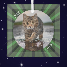 Adorno De Cristal Green Starburst Custom Cat Holiday Christmas 