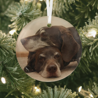 Adorno De Cristal Hermanas Pointer de Alemania al descubierto