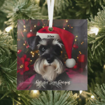Hermoso Schnauzer en miniatura con Santa Hat