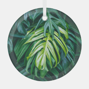 Adorno De Cristal Hojas tropicales: fondo de la naturaleza oscura.