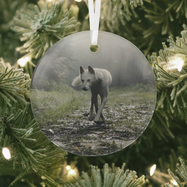 Adorno De Cristal Husky Siberiano Blanco (in situ)