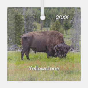 Adorno De Cristal Impresionante Bison American del Parque Yellowston