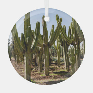 Adorno De Cristal Jardín Cacti, paisaje tropical del desierto.