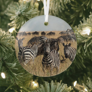 Adorno De Cristal La cebra de Grant