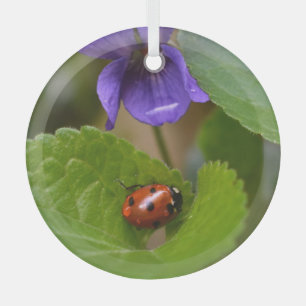 Adorno De Cristal Ladybug sobre las dulces flores violetas