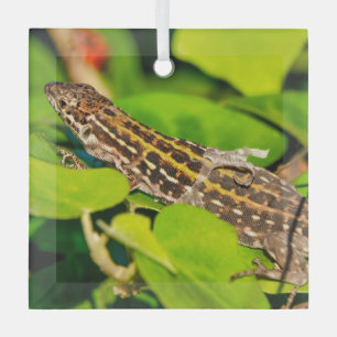 Adorno De Cristal Lechuga