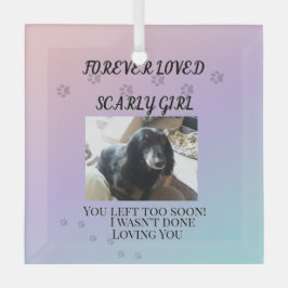 Adorno De Cristal Light Beyond the Rainbow Tribute