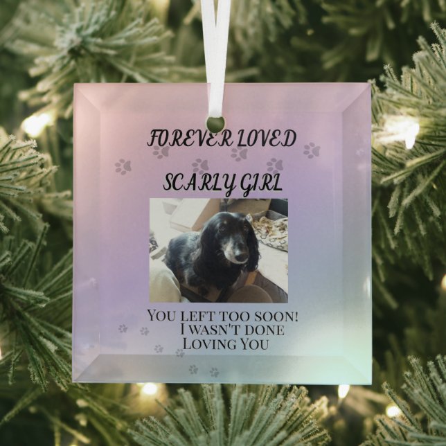 Adorno De Cristal Light Beyond the Rainbow Tribute (in situ)