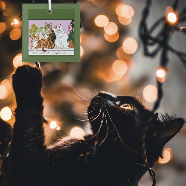 Adorno De Cristal Los gatos están a cargo (Subido por el creador)