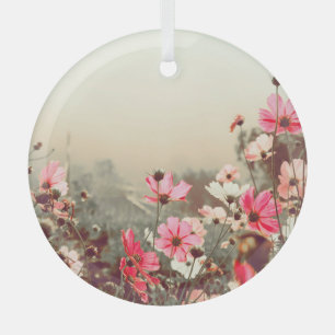 Adorno De Cristal Luz matutina, cosmos rosados florecientes.