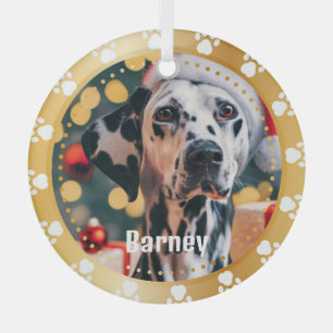 Adorno De Cristal Mascota Pinta Impresiones Nombre Mascota Personali