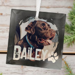 Adorno De Cristal Mascota Simple y Moderno Guay Nombre y foto<br><div class="desc">Este diseño sencillo y moderno se compone de una tipografía de escritura moderna y sencilla. Añadir la foto del mascota personalizado de su perro,  gato,  cachorro o gatito</div>