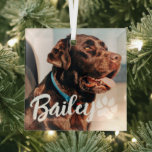 Adorno De Cristal Mascota Simple y Moderno Nombre y foto de la tipog<br><div class="desc">Este diseño sencillo y moderno se compone de una tipografía de escritura moderna y sencilla. Añadir foto de mascota personalizado.</div>