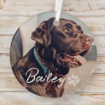 Adorno De Cristal Mascota Simple y Moderno Nombre y foto de la tipog<br><div class="desc">Este diseño sencillo y moderno se compone de una tipografía de escritura moderna y sencilla. Añadir foto de mascota personalizado.</div>