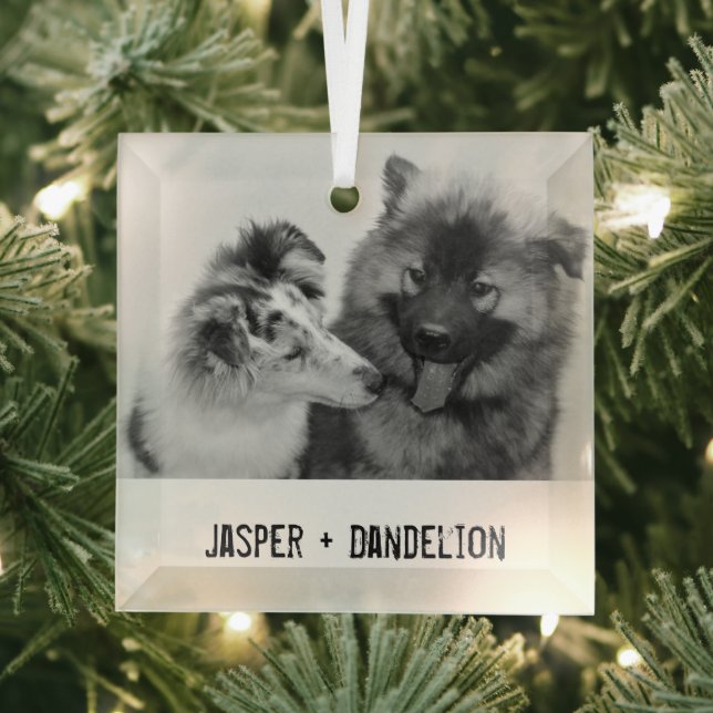 Adorno De Cristal Mascota simple y moderno Personalizado o personas (in situ)